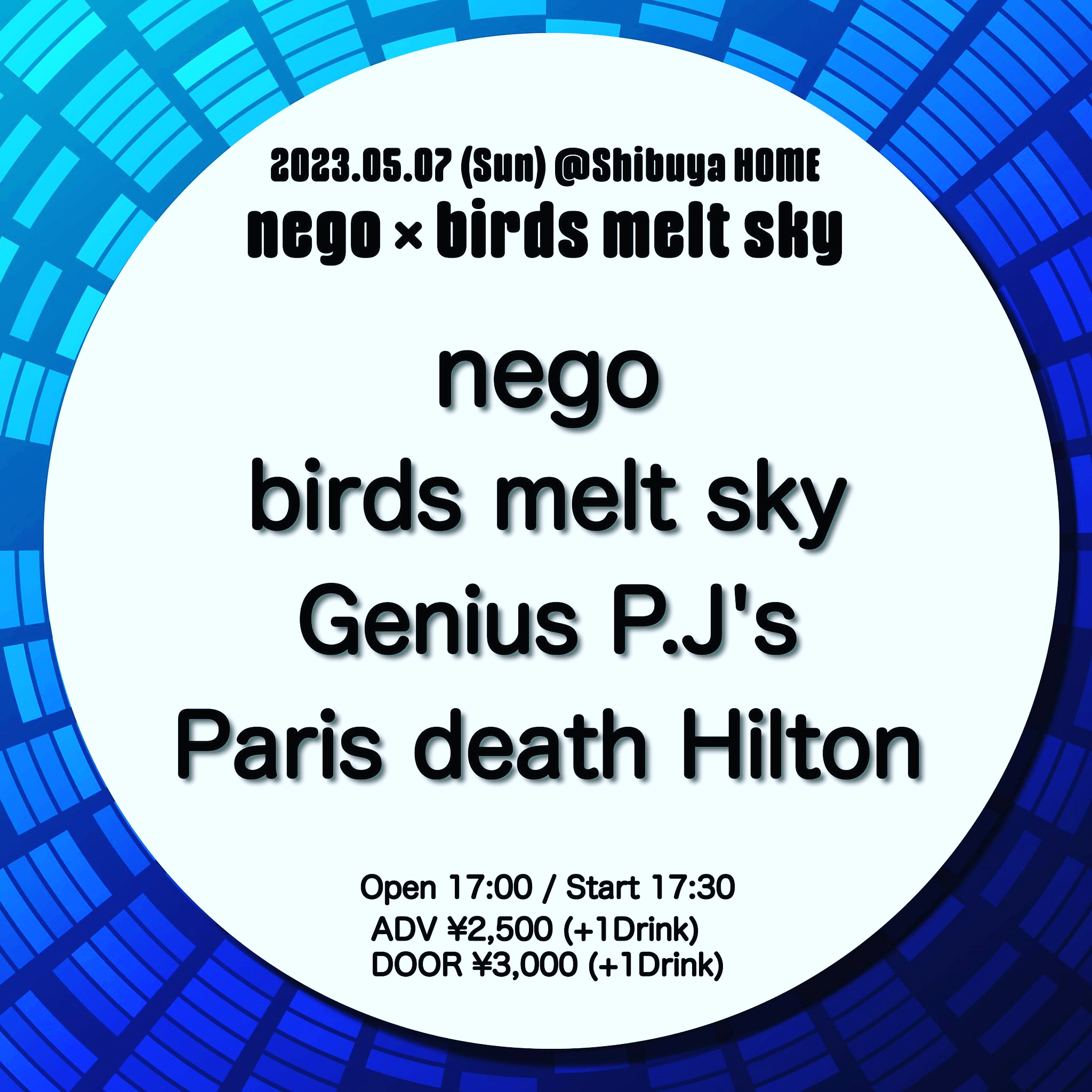 nego × birds melt sky